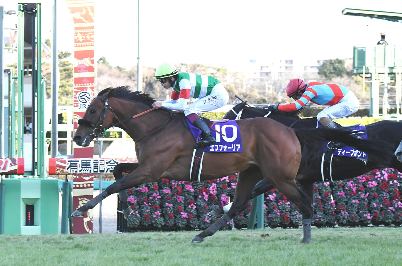 有馬記念を制したエフフォーリア（2021年12月26日撮影）