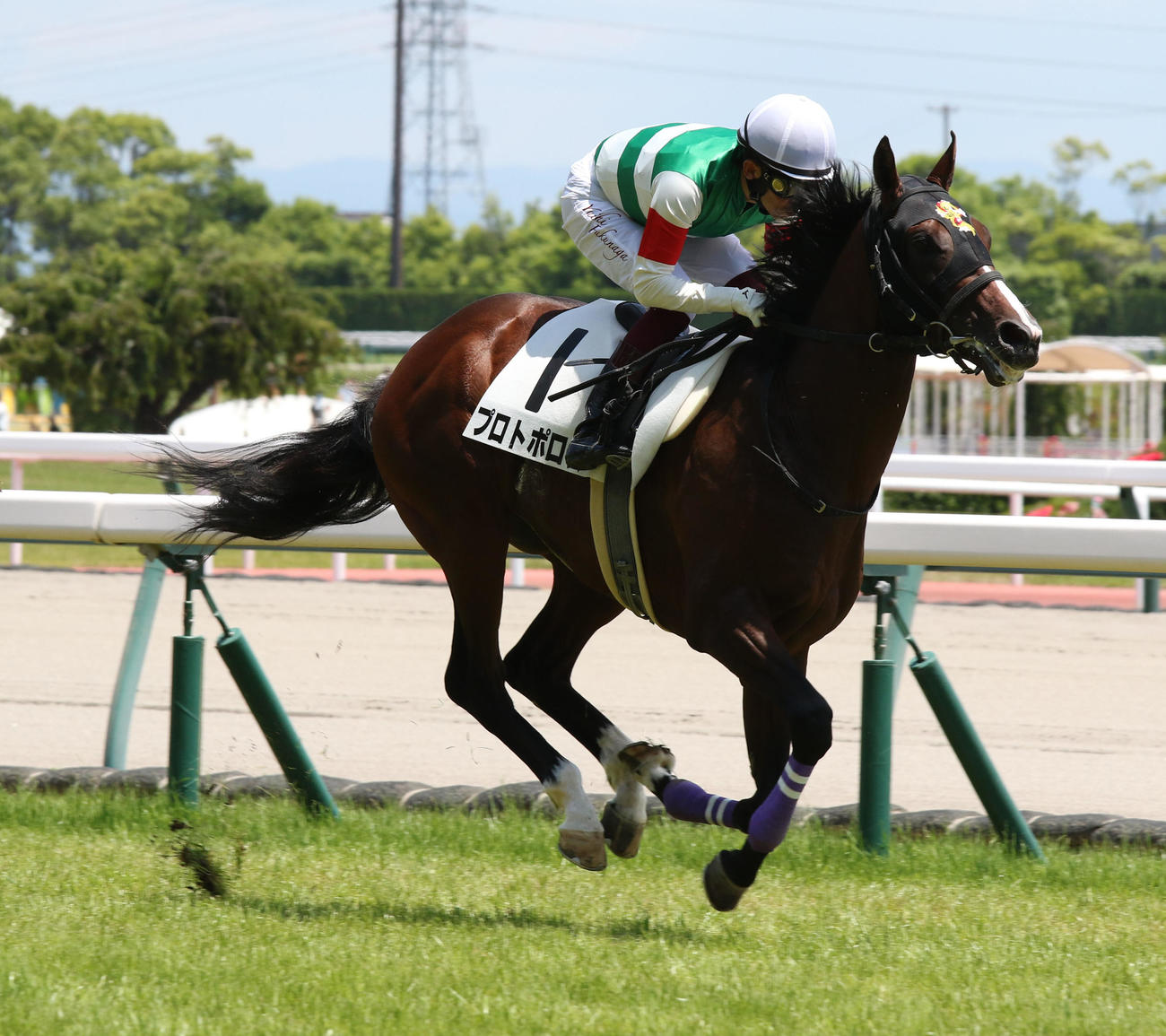 中京5R新馬戦を制したプロトポロス