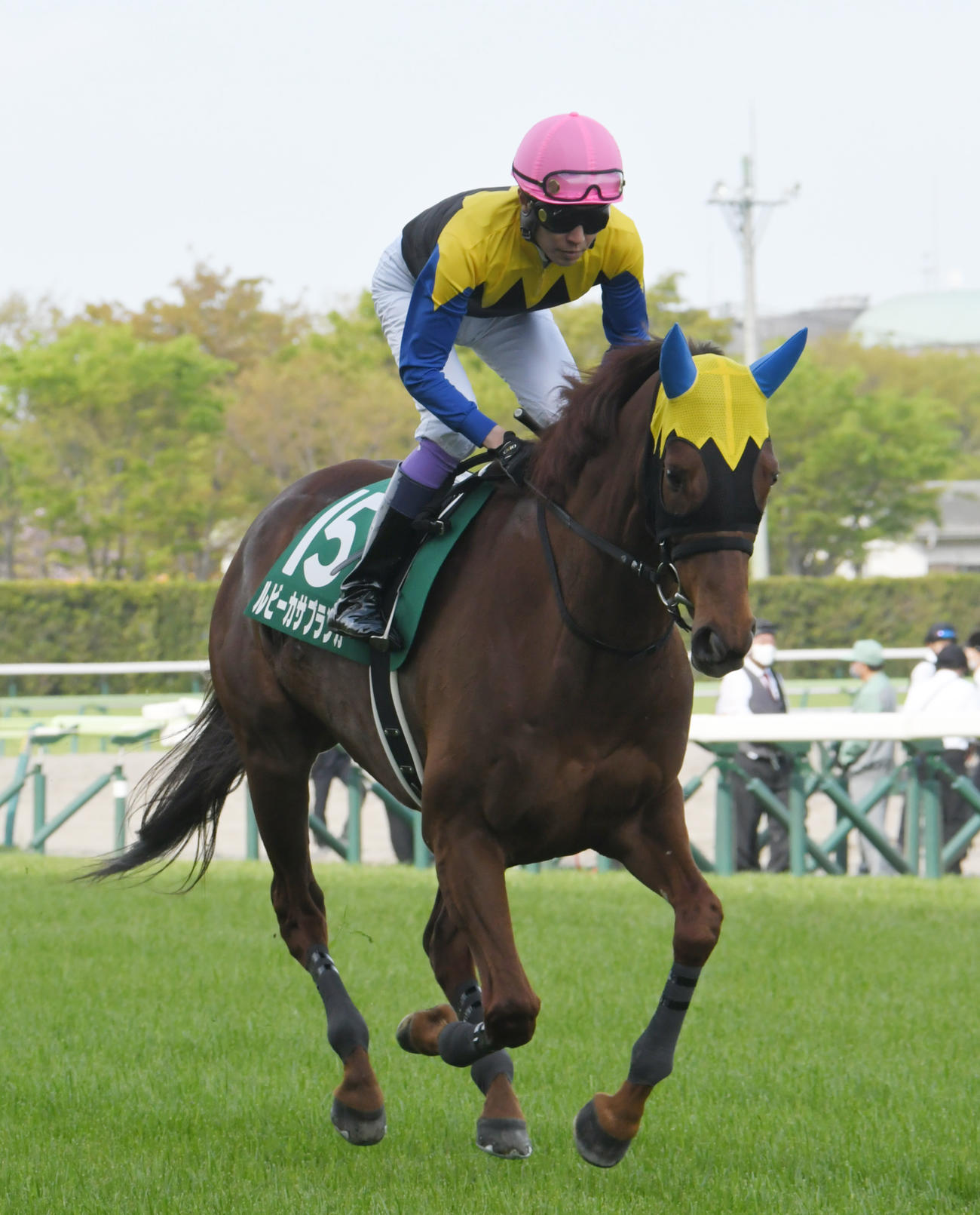 ルビーカサブランカ（2022年4月23日撮影）