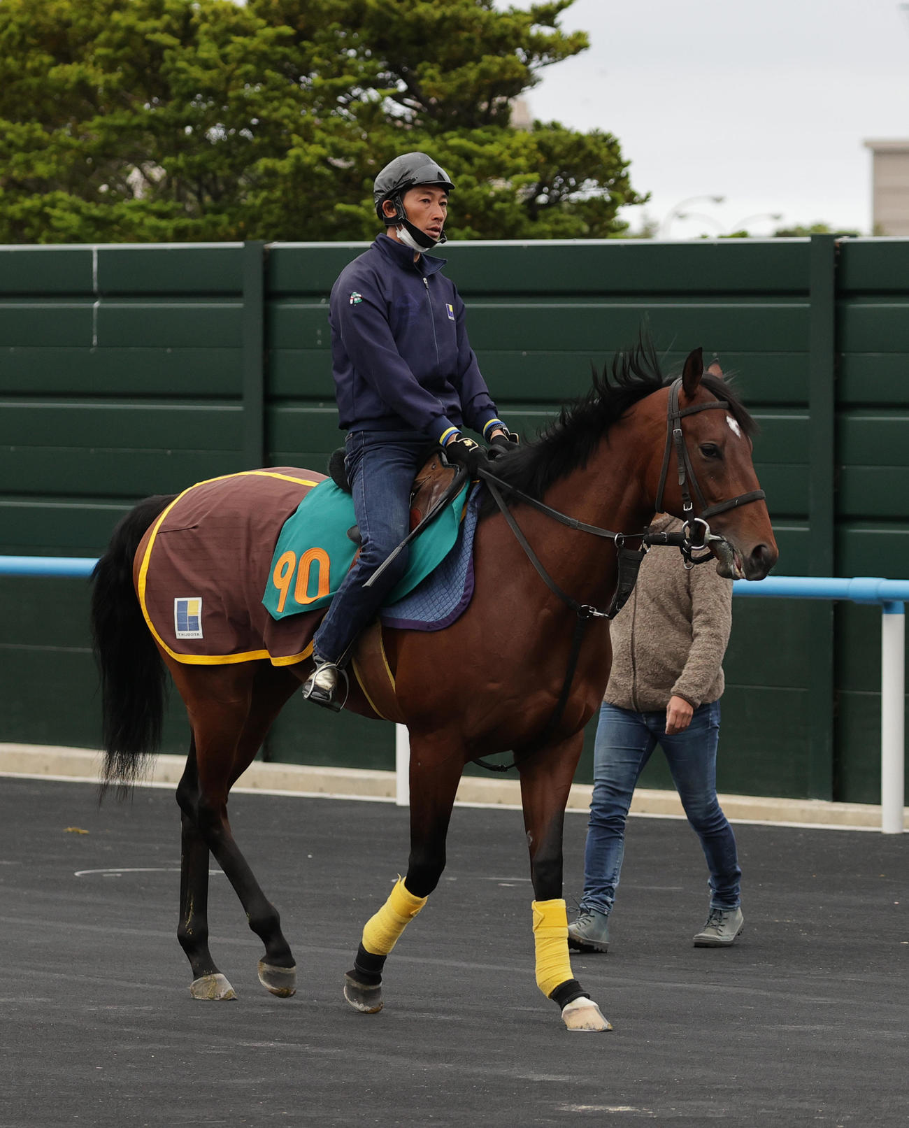 函館競馬場で順調な調整を積むスプレモフレイバー