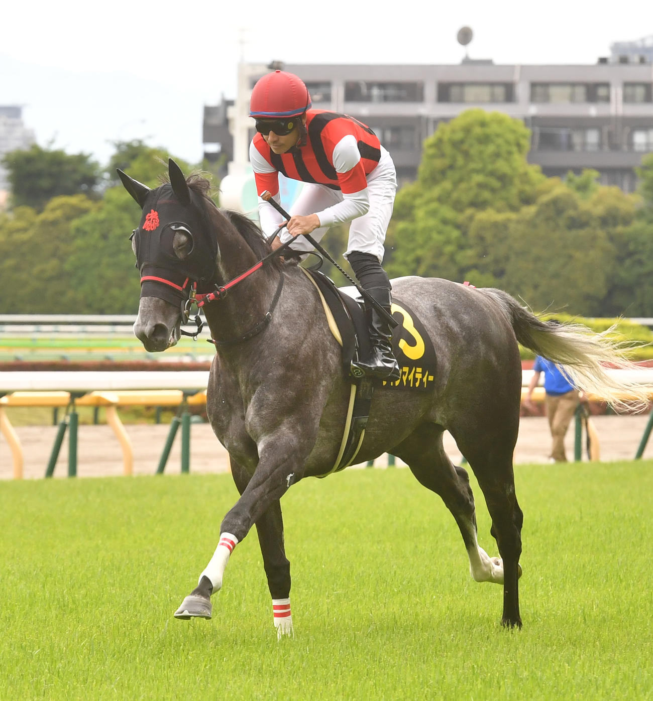 メトロポリタンSで本馬場に入場したウインマイティー（22年5月8日撮影）