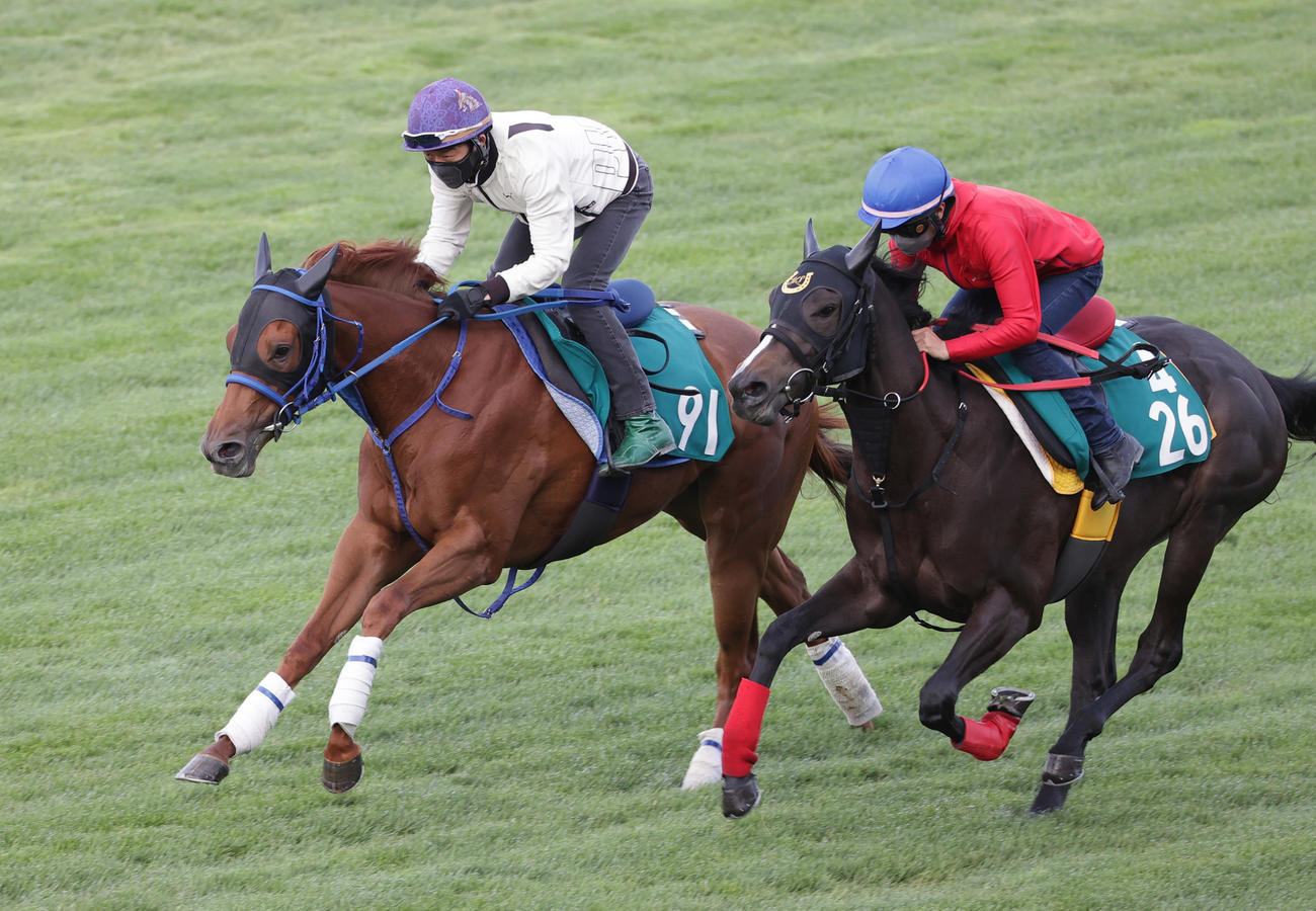 城戸騎手を背に、函館芝コースで併せ馬で追い切られたリンデザ（左）