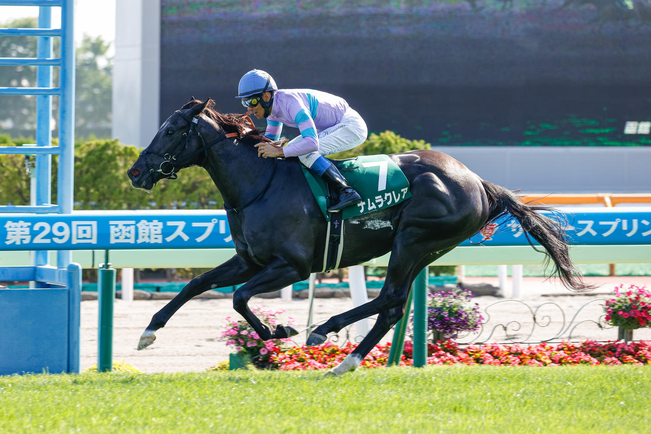 函館SSを制したナムラクレア（2022年6月12日撮影）