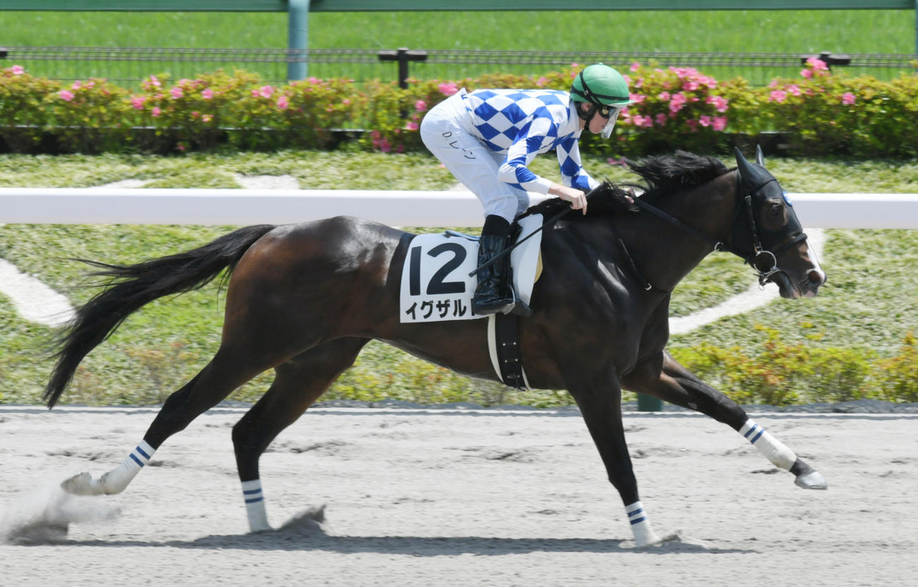 5月22日、3歳1勝クラスを圧勝したイグザルト