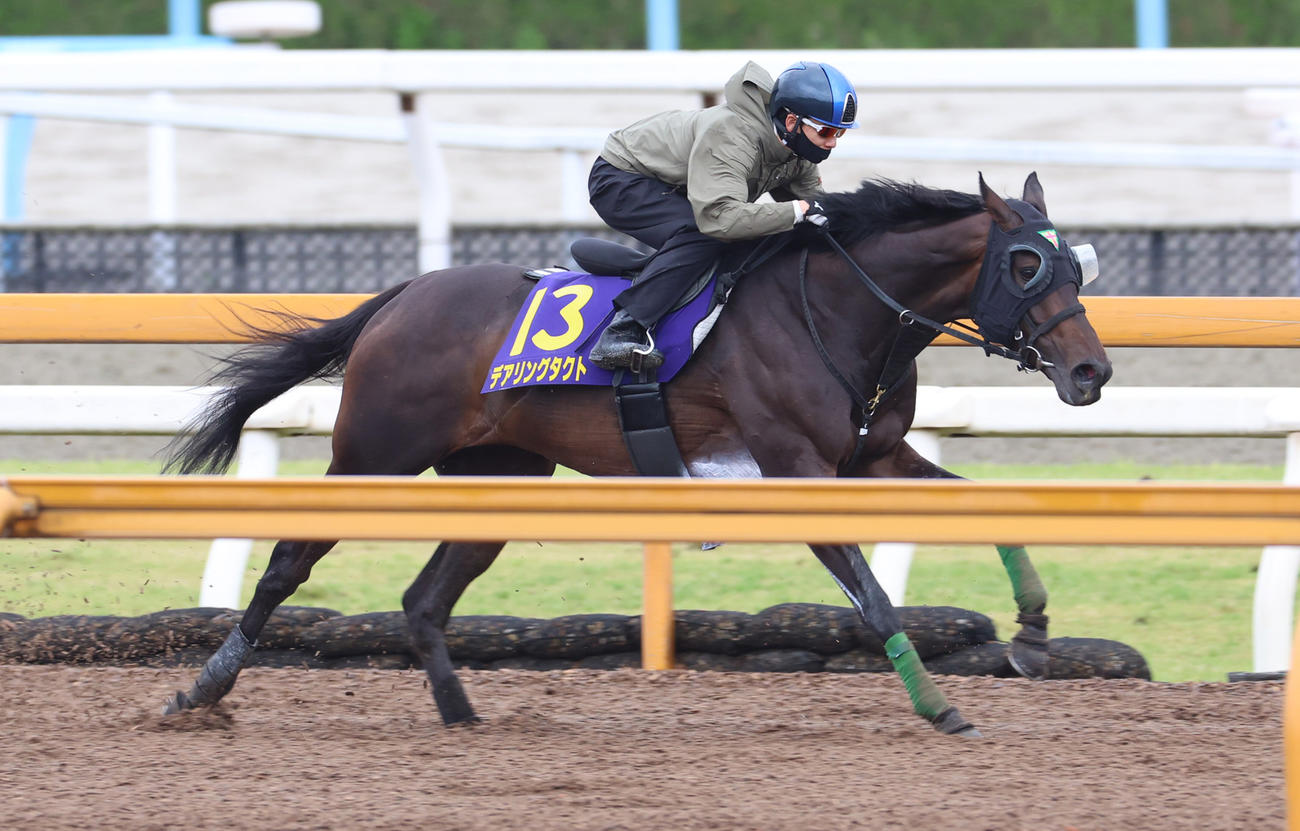 松山騎手を背にCウッドで追い切るデアリングタクト