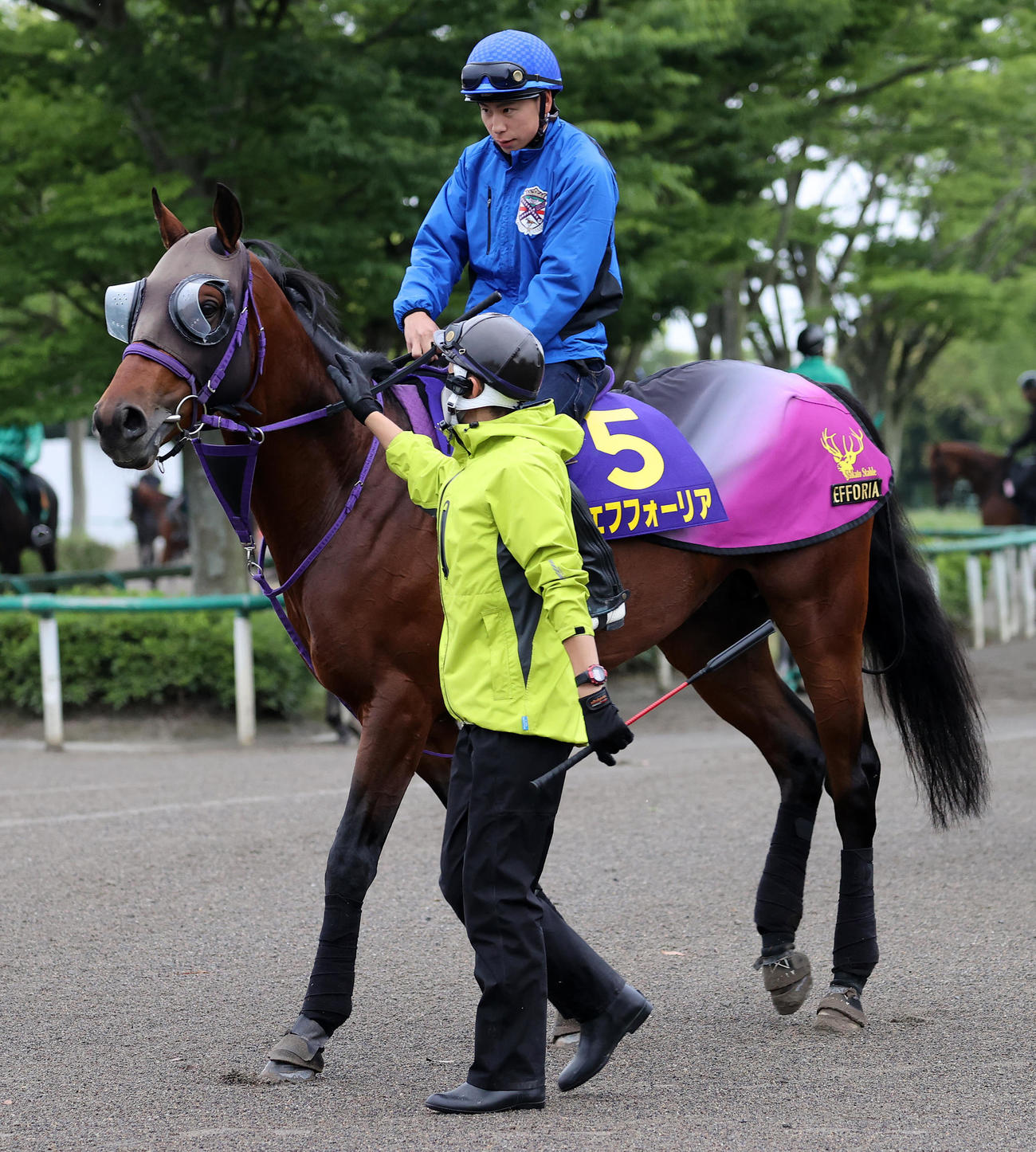 調教に向かうエフフォーリアと横山武史騎手（撮影・鈴木正人）