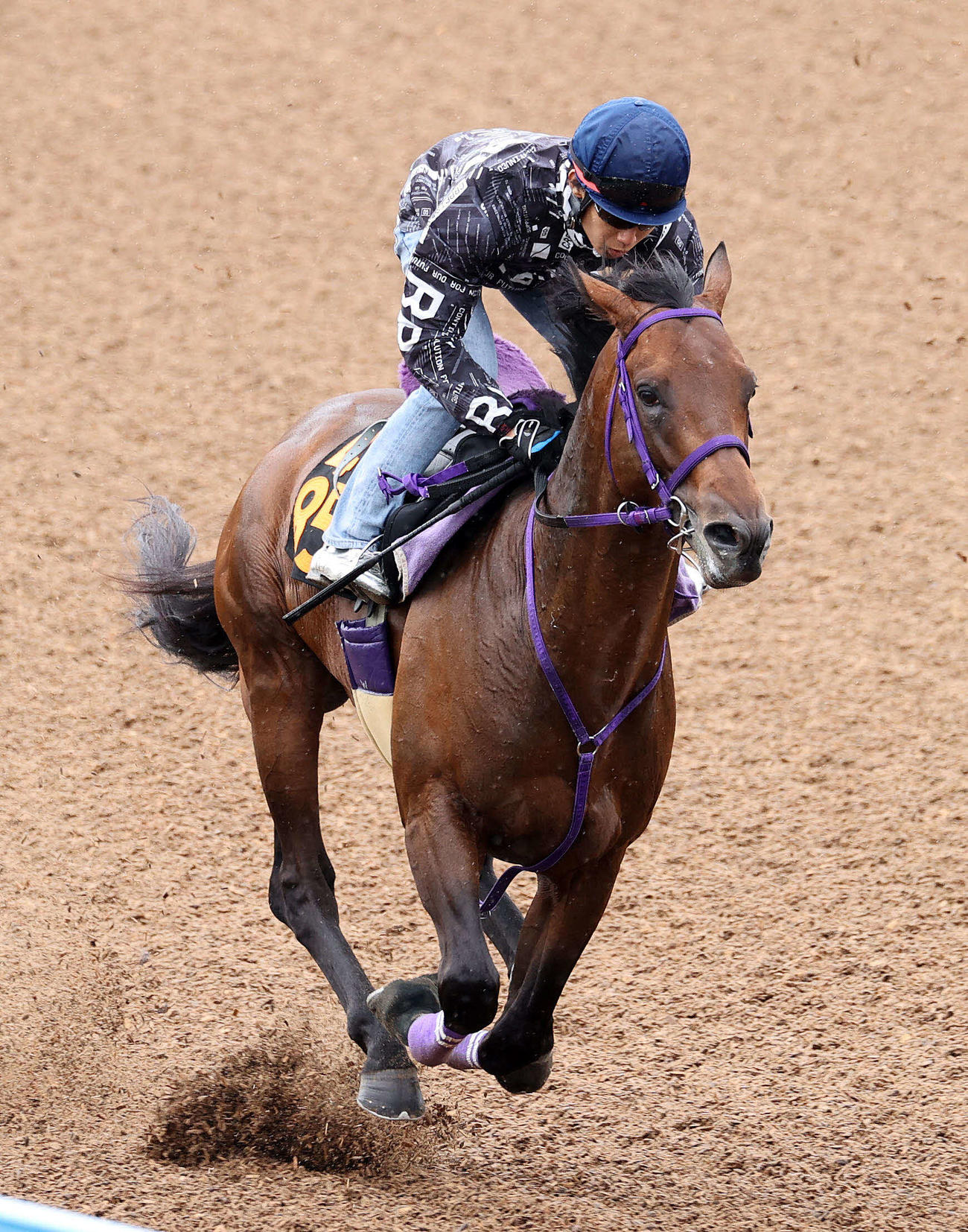 田辺騎手を背に美浦ウッドを追い切るコンバスチョン（撮影・鈴木正人）