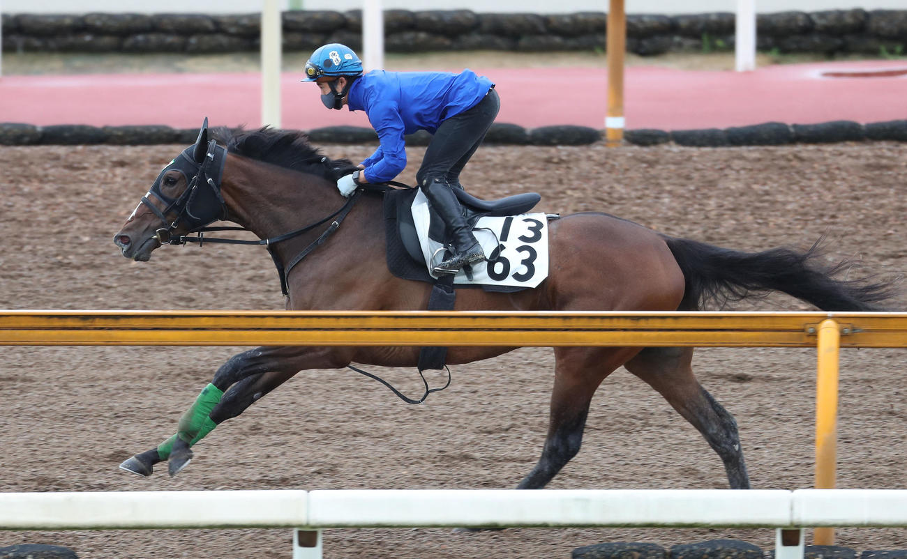 高倉騎手を背にCウッドを単走で追い切るトウシンモンブラン（撮影・白石智彦）