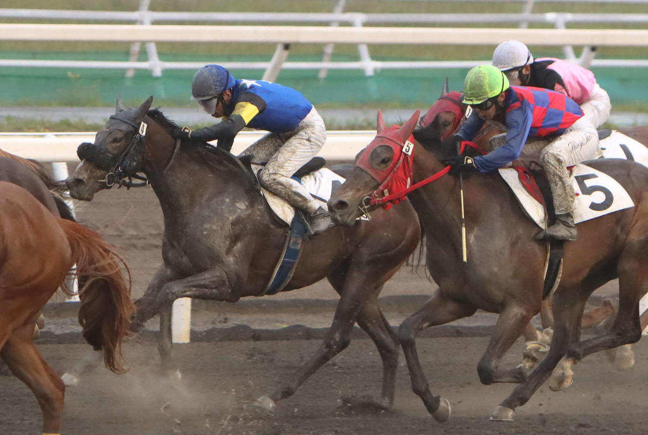 デビュー戦6着だったオマタセシマシタ（左）（撮影・奥村晶治）