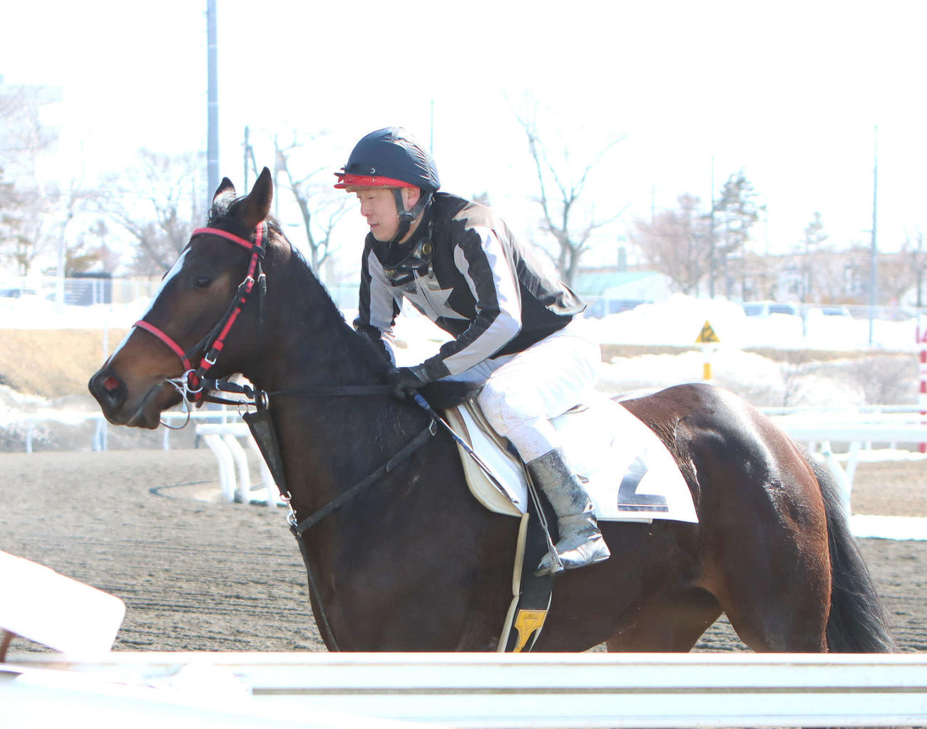 ホッカイドウ競馬能検6R 2着入線で合格したオマタセシマシタ（撮影・奥村晶治）