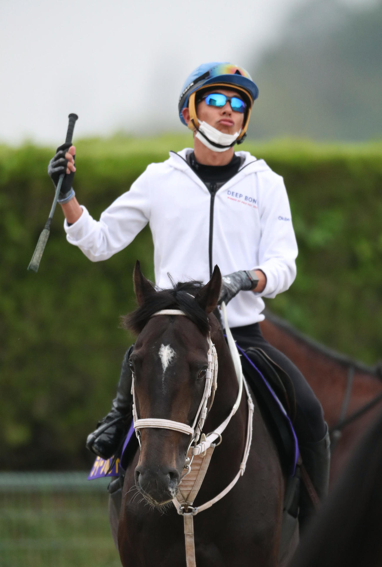 和田竜騎手を背にスタンド前で運動するディープボンド（撮影・白石智彦）