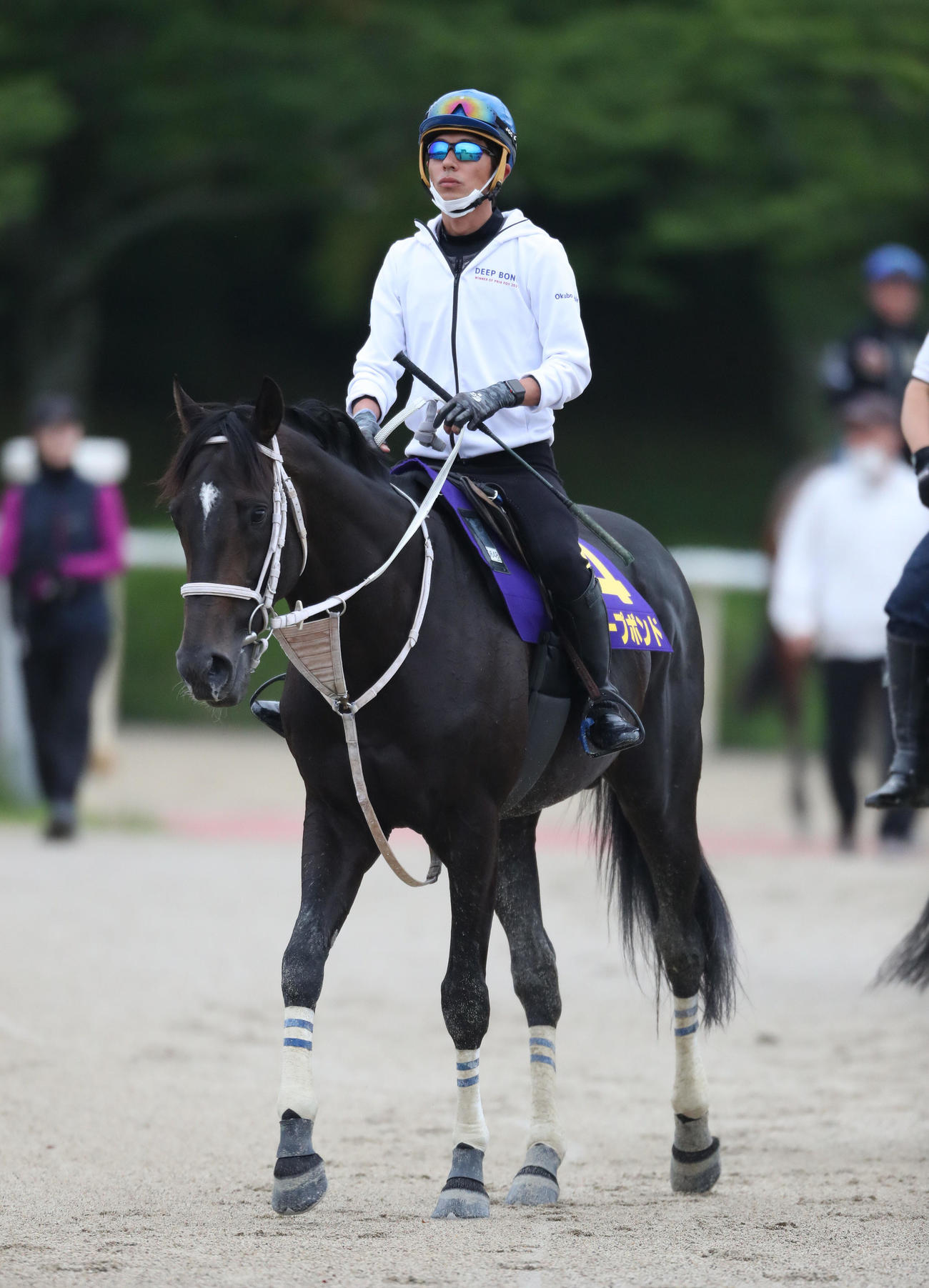 和田竜騎手を背にスタンド前で運動するディープボンド（撮影・白石智彦）