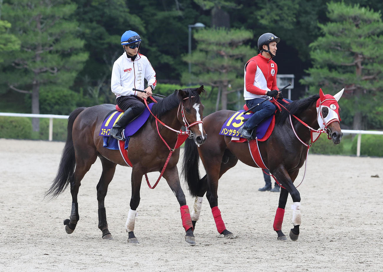 調教から引き揚げる坂井騎手騎乗のステイフーリッシュ（左）、パンサラッサ（撮影・白石智彦）
