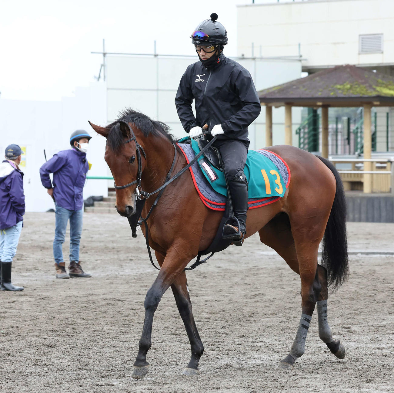 調教を終えて馬場を出るウンブライル（2022年6月8日撮影）