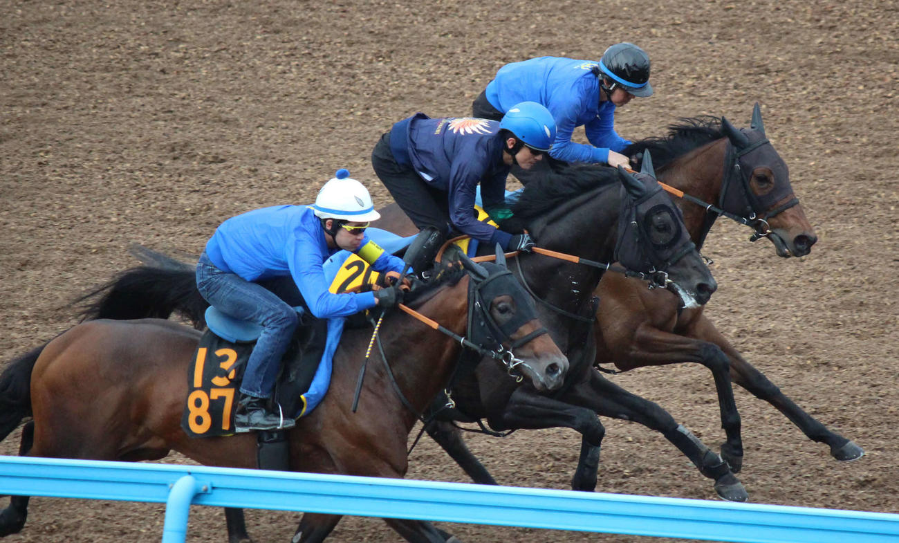 3頭併せの真ん中で追い切られたロイヤルアッシュと石神騎手（撮影・木南友輔）