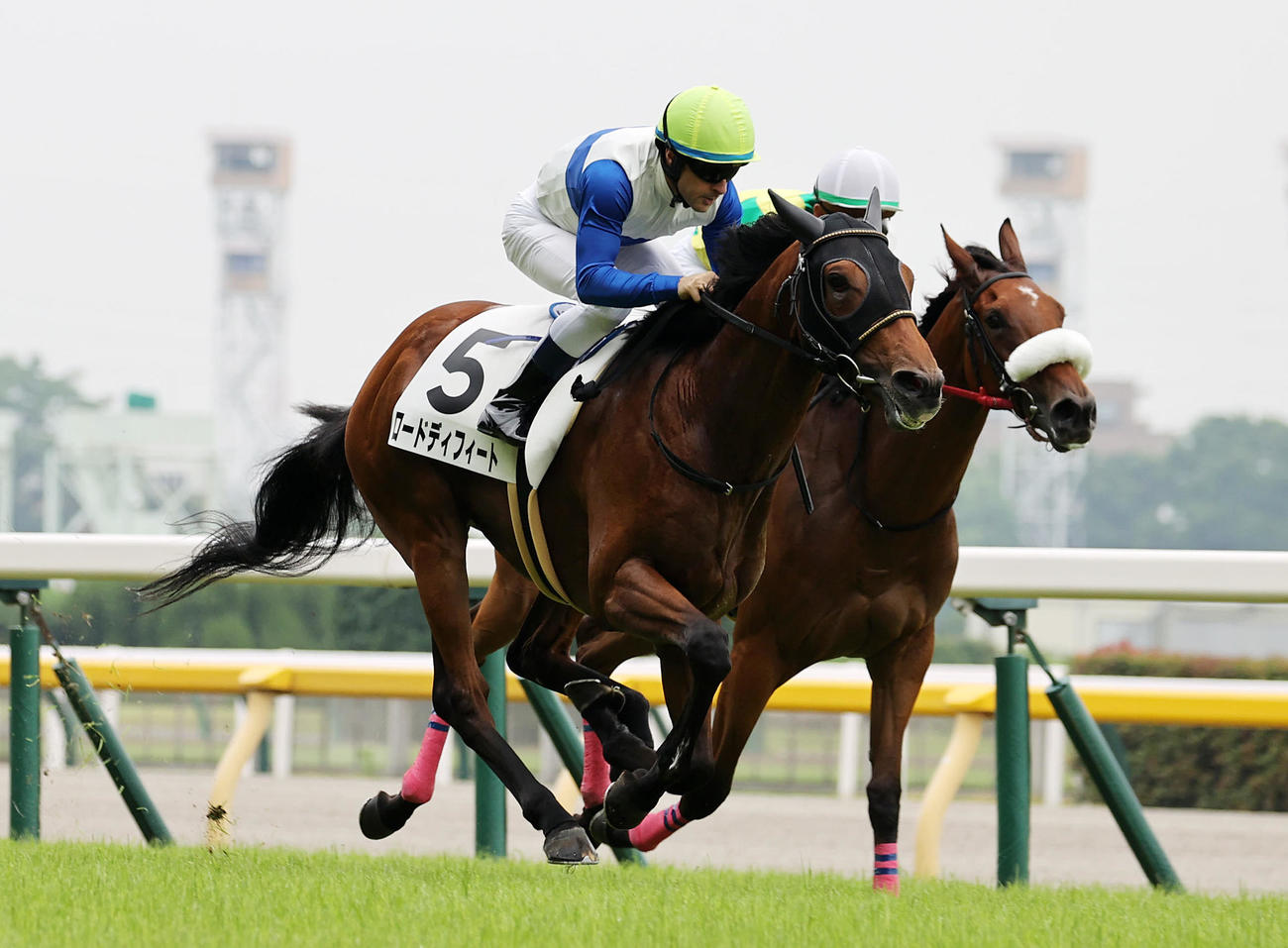 2歳未勝利を制したロードディフィート（左）とC・ルメール騎手（撮影・鈴木正人）