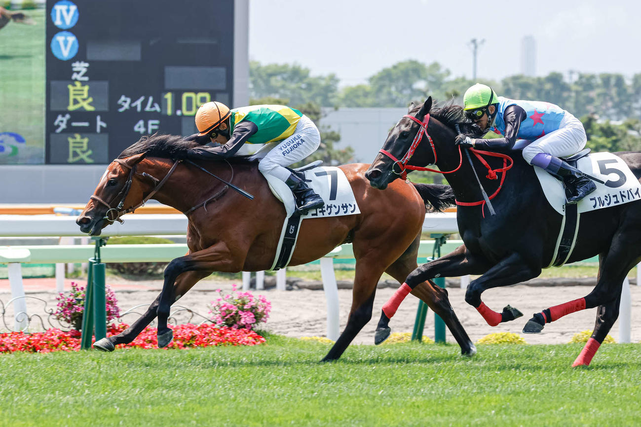 函館5R、デビュー戦を制したゴキゲンサン（撮影・村野早祐）