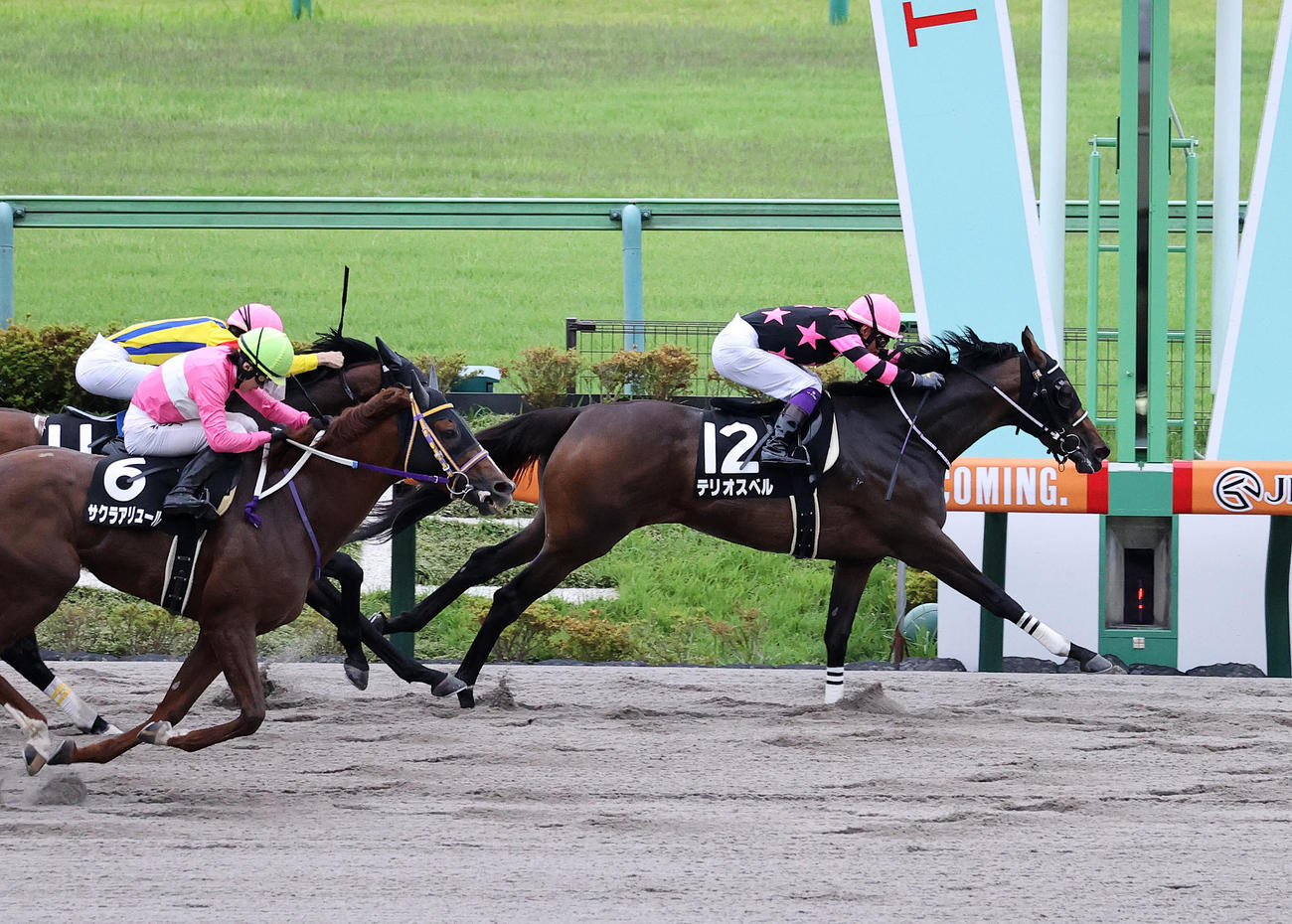 東京11R、スレイプニルSを制したテリオスベル（右）（撮影・鈴木正人）