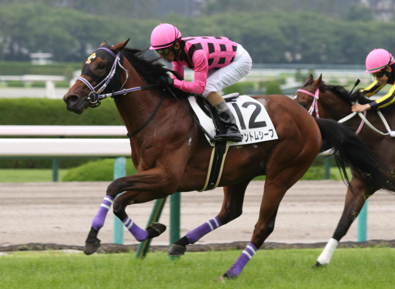 阪神5R、2歳新馬戦を制したファントムシーフ（撮影・渦原淳）