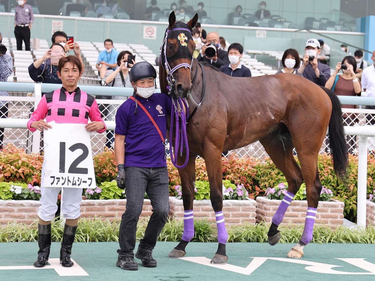 阪神5R2歳新馬戦を制したファントムシーフと和田竜二騎手（撮影・渦原淳）