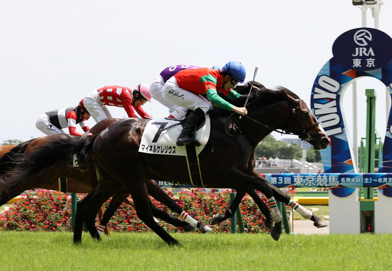 メイクデビュー東京を制したマイネルケレリウス（手前）と石川裕紀人騎手（撮影・鈴木正人）
