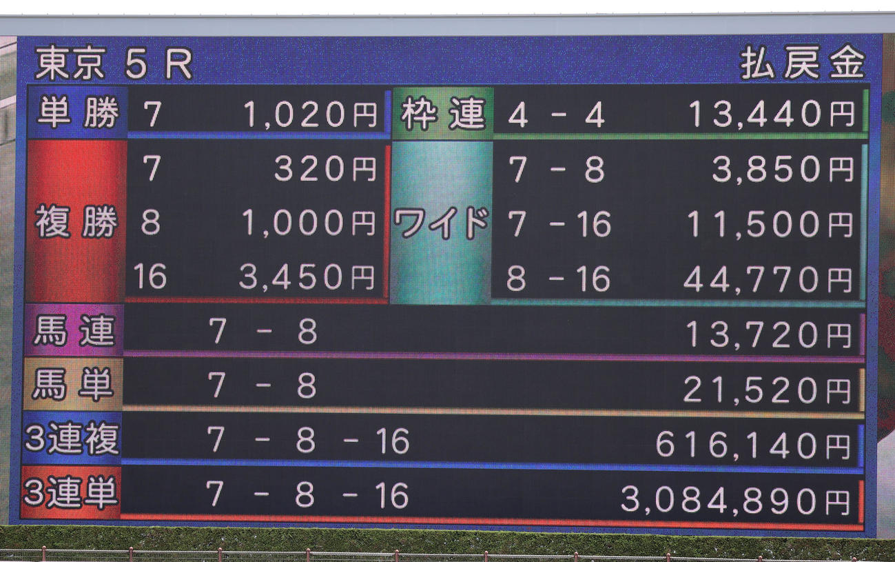 東京5R、メイクデビュー東京の払戻金を伝えるターフビジョン（撮影・鈴木正人）
