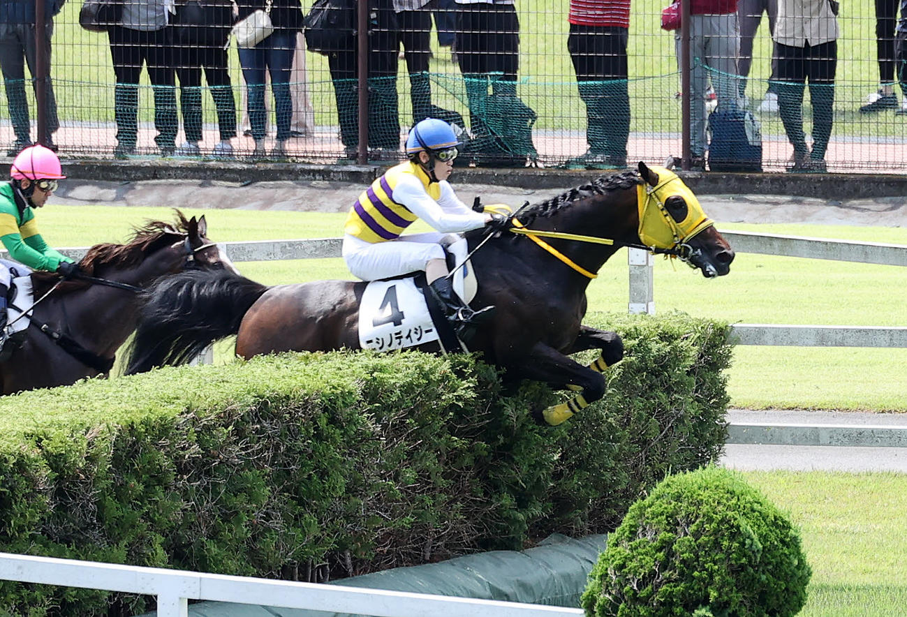 東京1R、障害3歳上未勝利を制したニシノデイジーと五十嵐雄祐騎手（撮影・鈴木正人）
