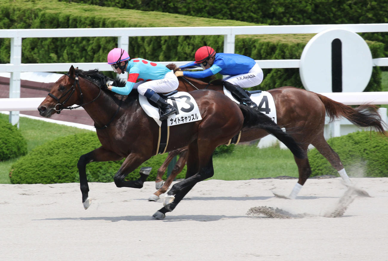 5R2歳新馬戦を快勝したナイトキャッスル（左）（撮影・渦原淳）