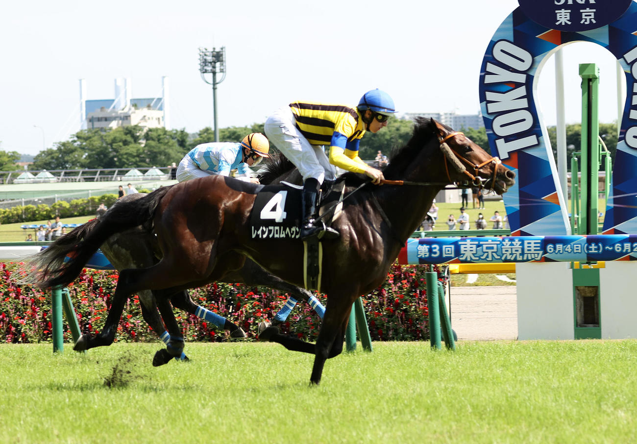 町田特別を制したレインフロムヘヴン（手前）とD・レーン騎手（撮影・鈴木正人）
