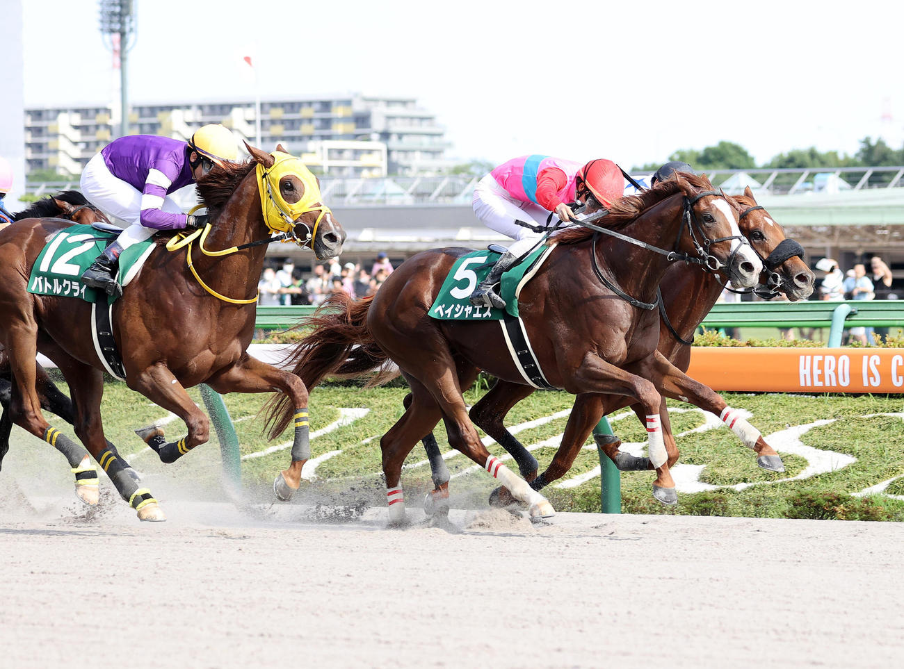 第27回ユニコーンステークスを制したペイシャエス（中央）と菅原明良騎手（撮影・鈴木正人）