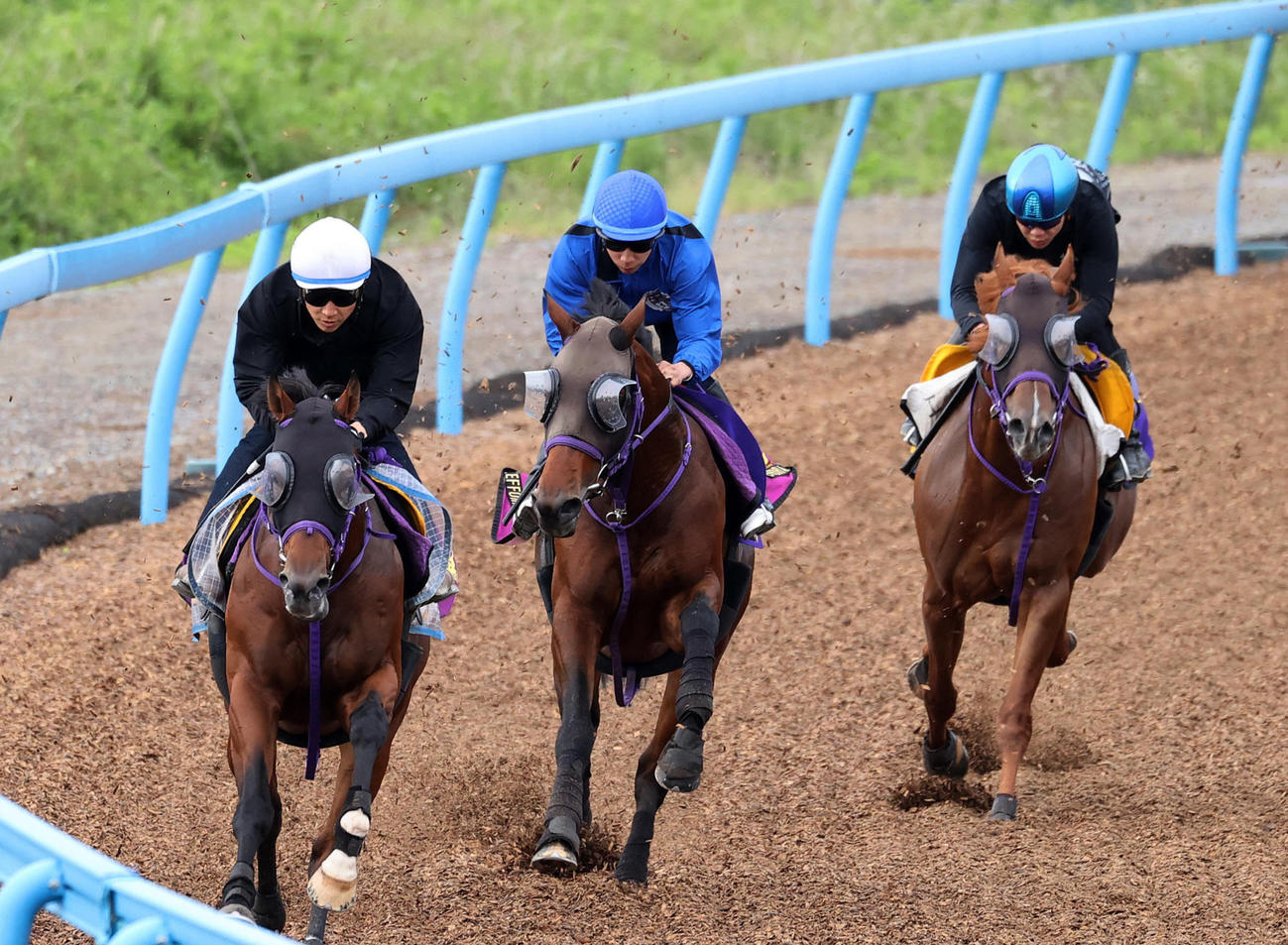 15日、1週前追いを行なったエフフォーリア（中央）