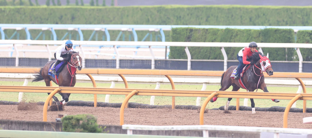 16日の1週前追いでステイフーリッシュ（左）に7馬身差で先着したパンサラッサ