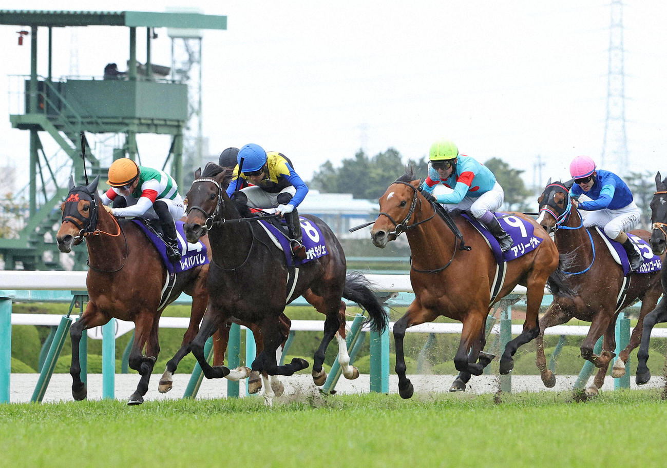 大阪杯を制したポタジェ（左から2頭目）（2022年4月3日撮影）