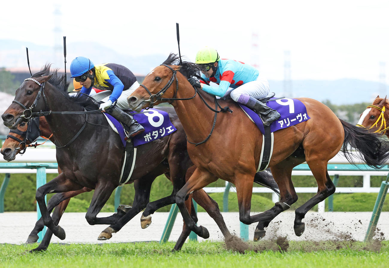 大阪杯で3着に入ったアリーヴォ（手前）（2022年4月3日撮影）