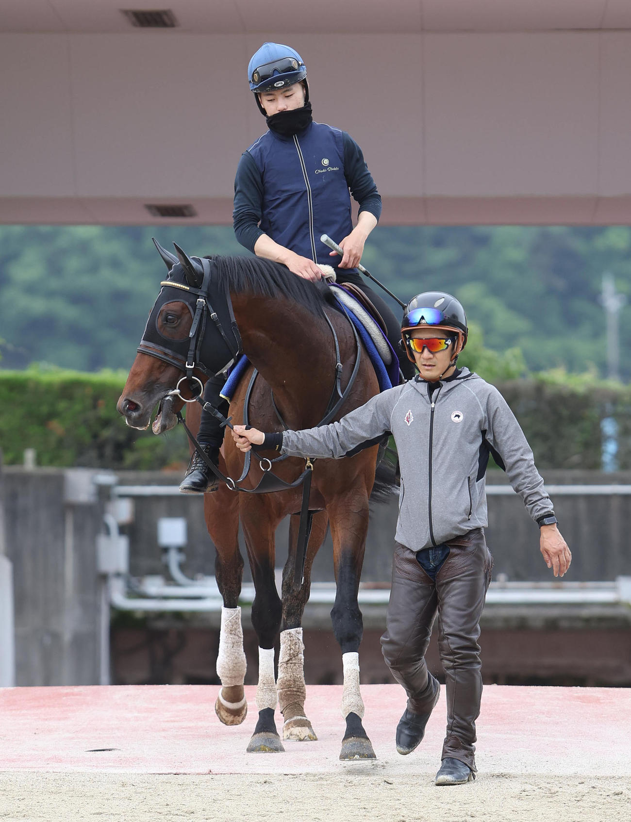 西村淳騎手を背に調教から引き揚げるギベオン（2022年6月17日撮影）