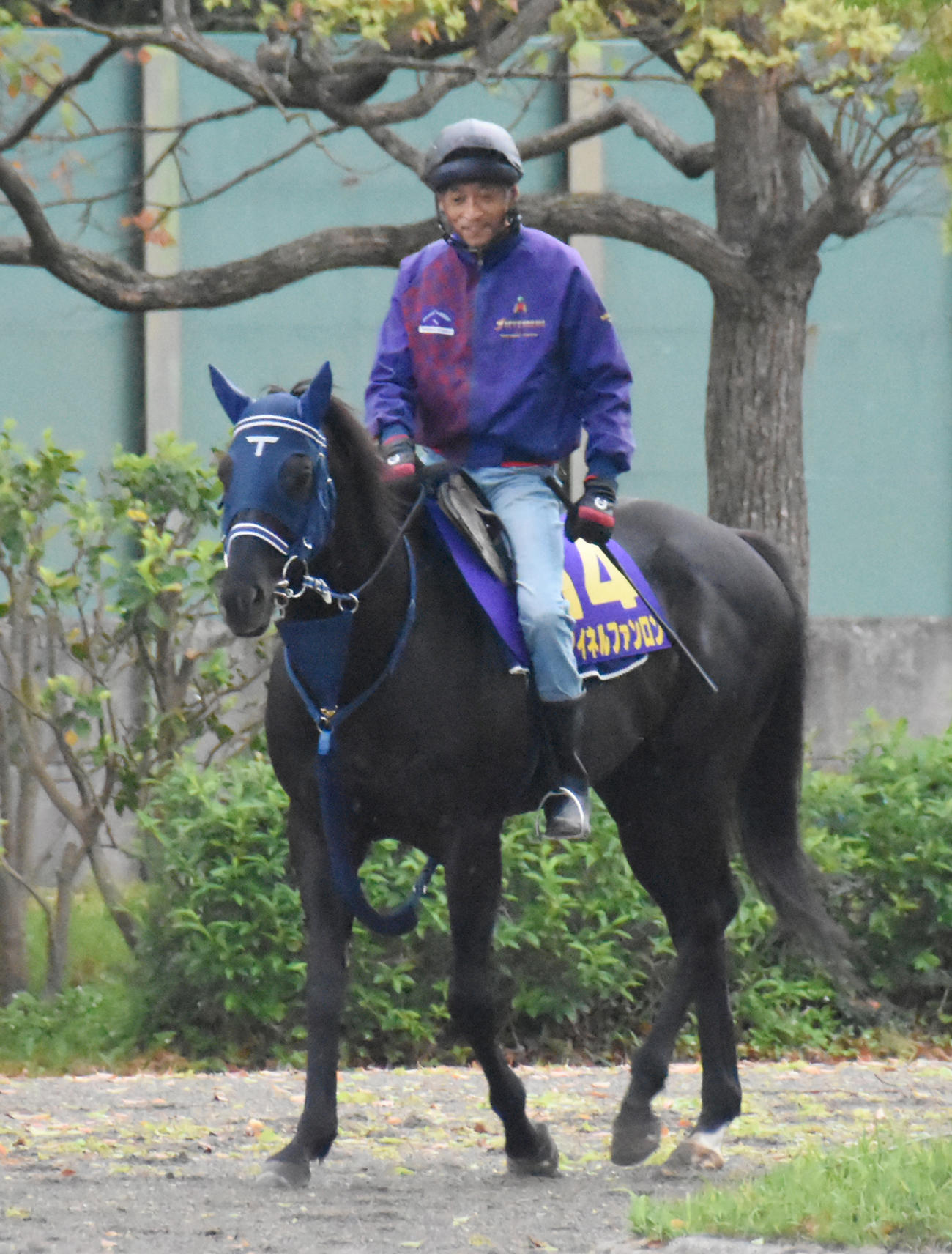 乗り運動するマイネルファンロン（2022年4月28日撮影）