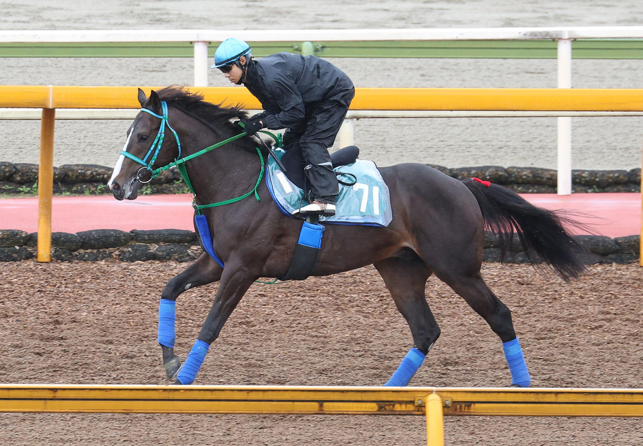 15日、北村友騎手を背に馬場入りするドゥラエレーデ