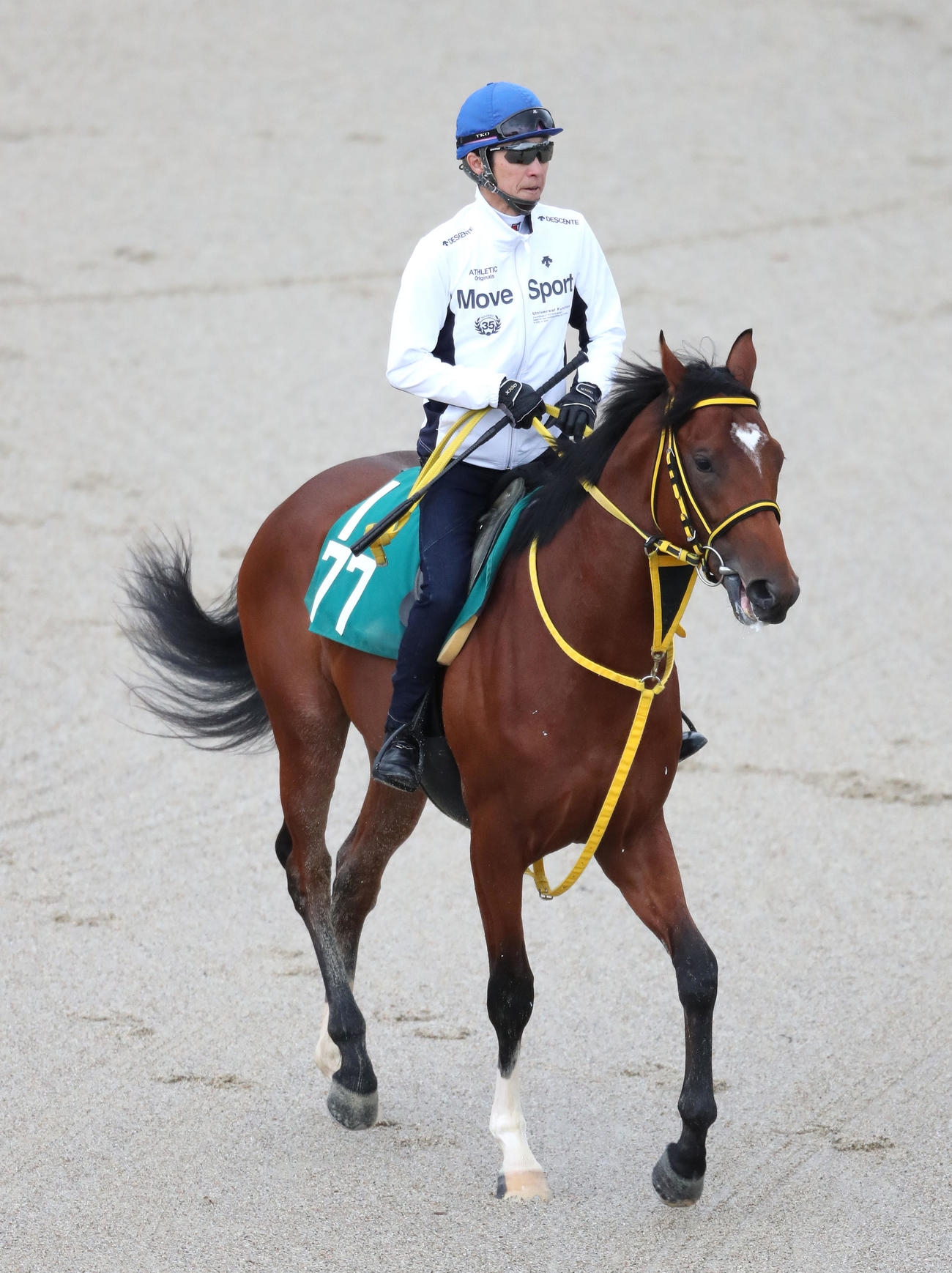 15日、武豊騎手を背にスタンド前で運動するアンテロース