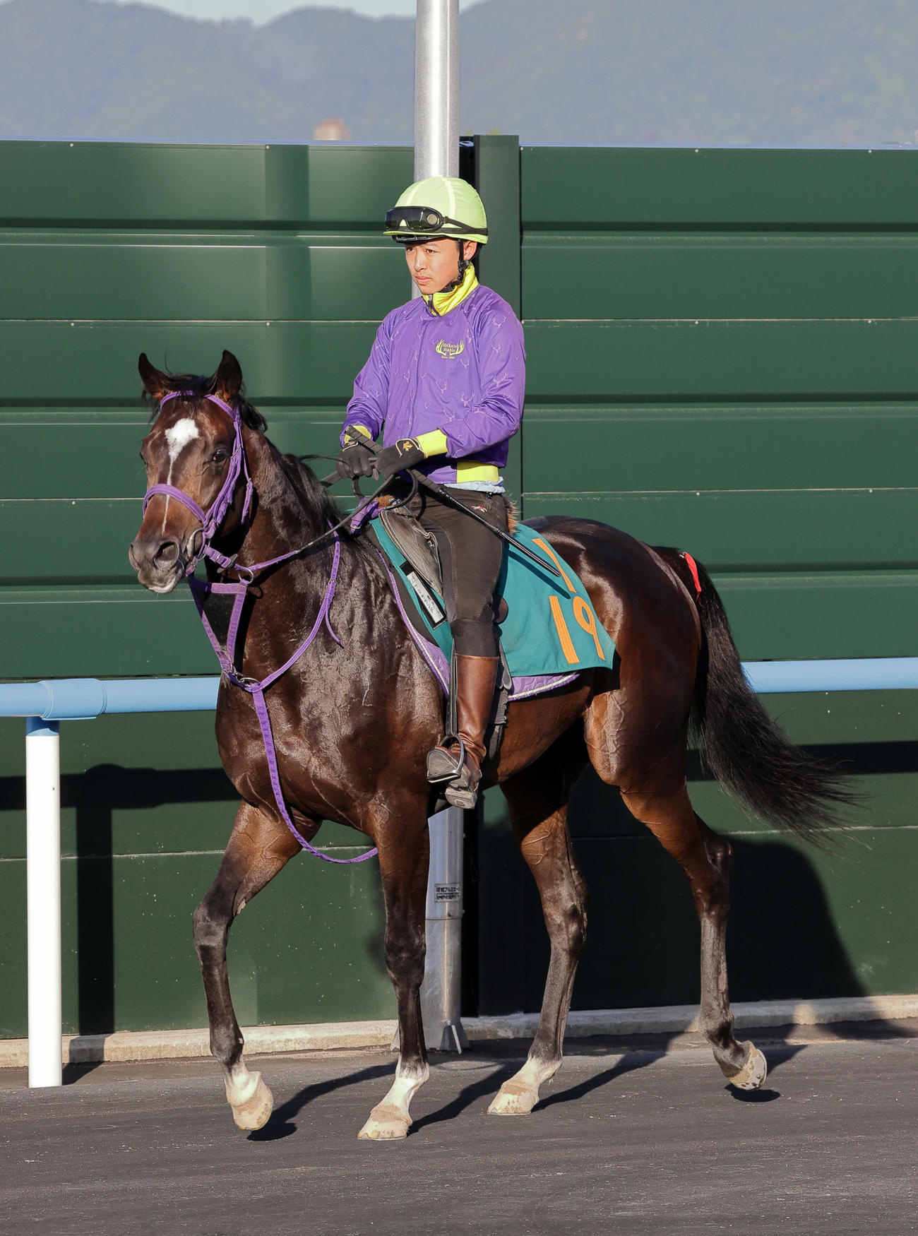 函館競馬場で順調な調整を積むフミサウンド