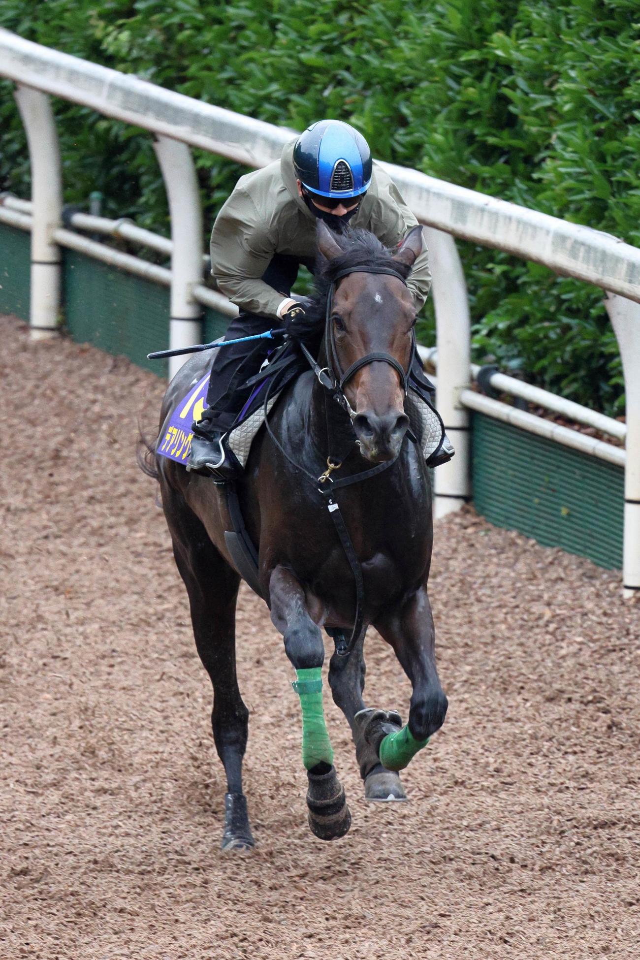 松山騎手が騎乗し、重馬場の坂路を力強く駆け上がるデアリングタクト