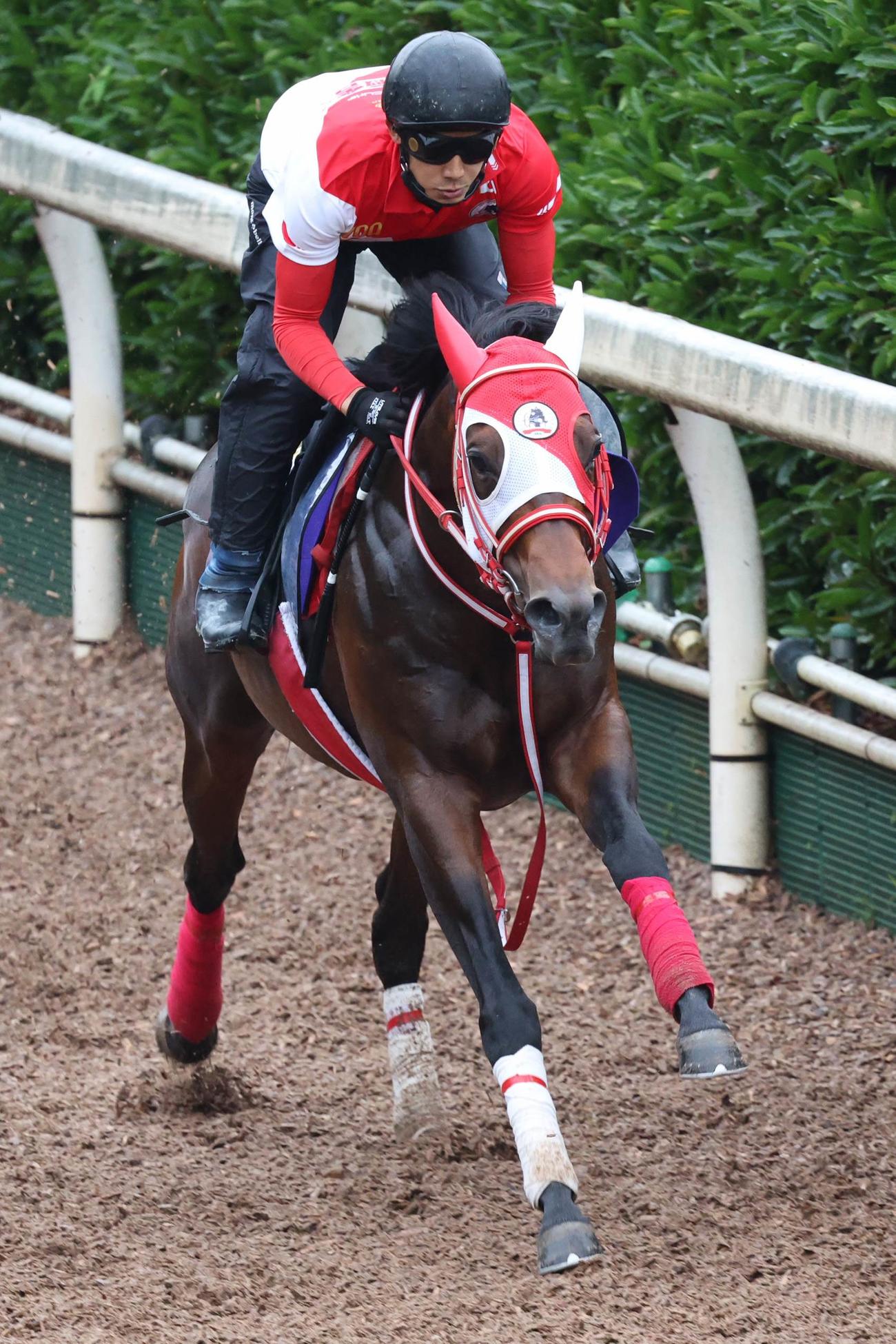 馬なりで好時計をマークしたパンサラッサ