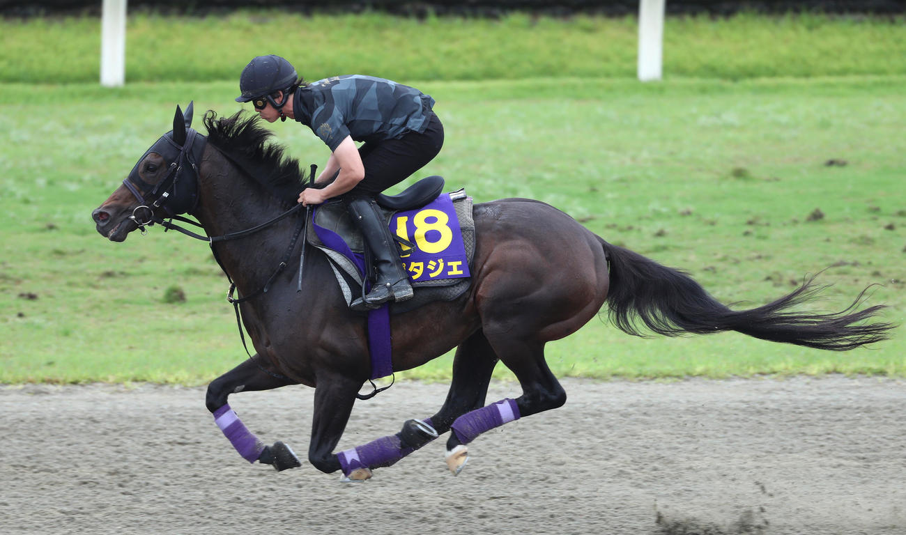 ポリトラックを単走で追い切るポタジェ（撮影・白石智彦）