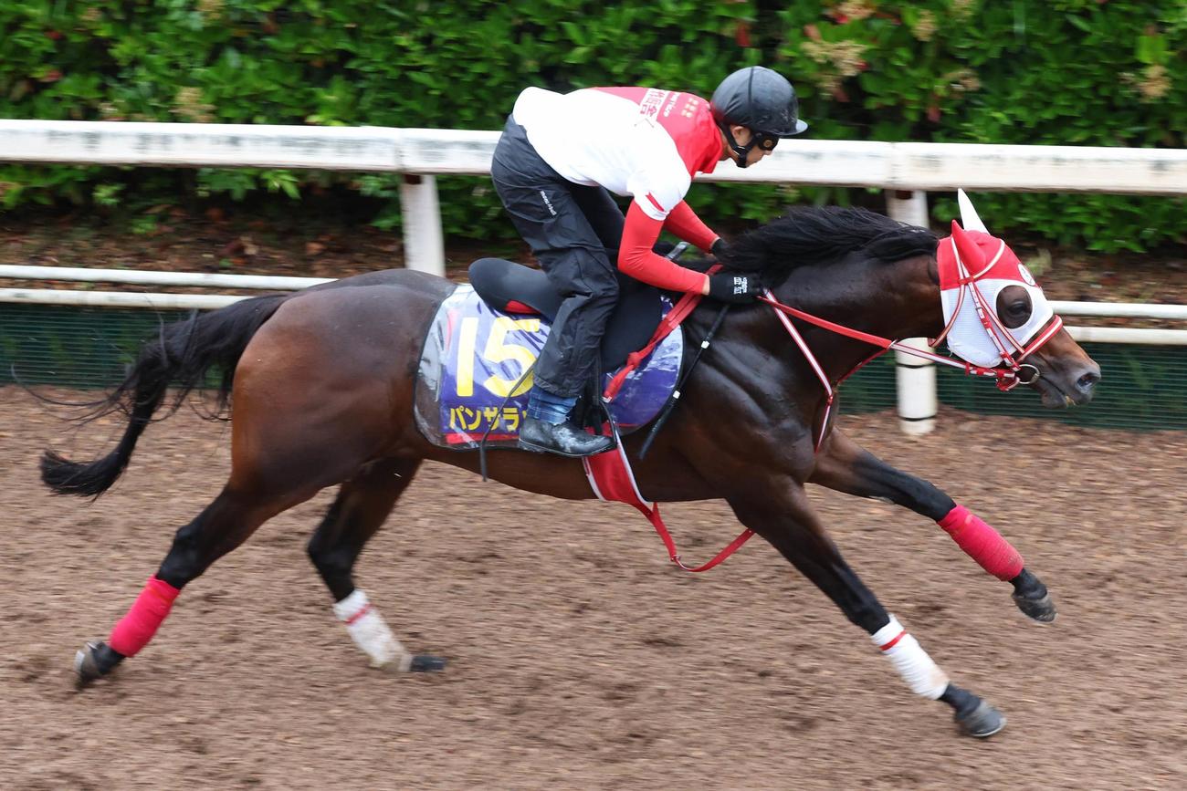 馬なりで好時計をマークしたパンサラッサ