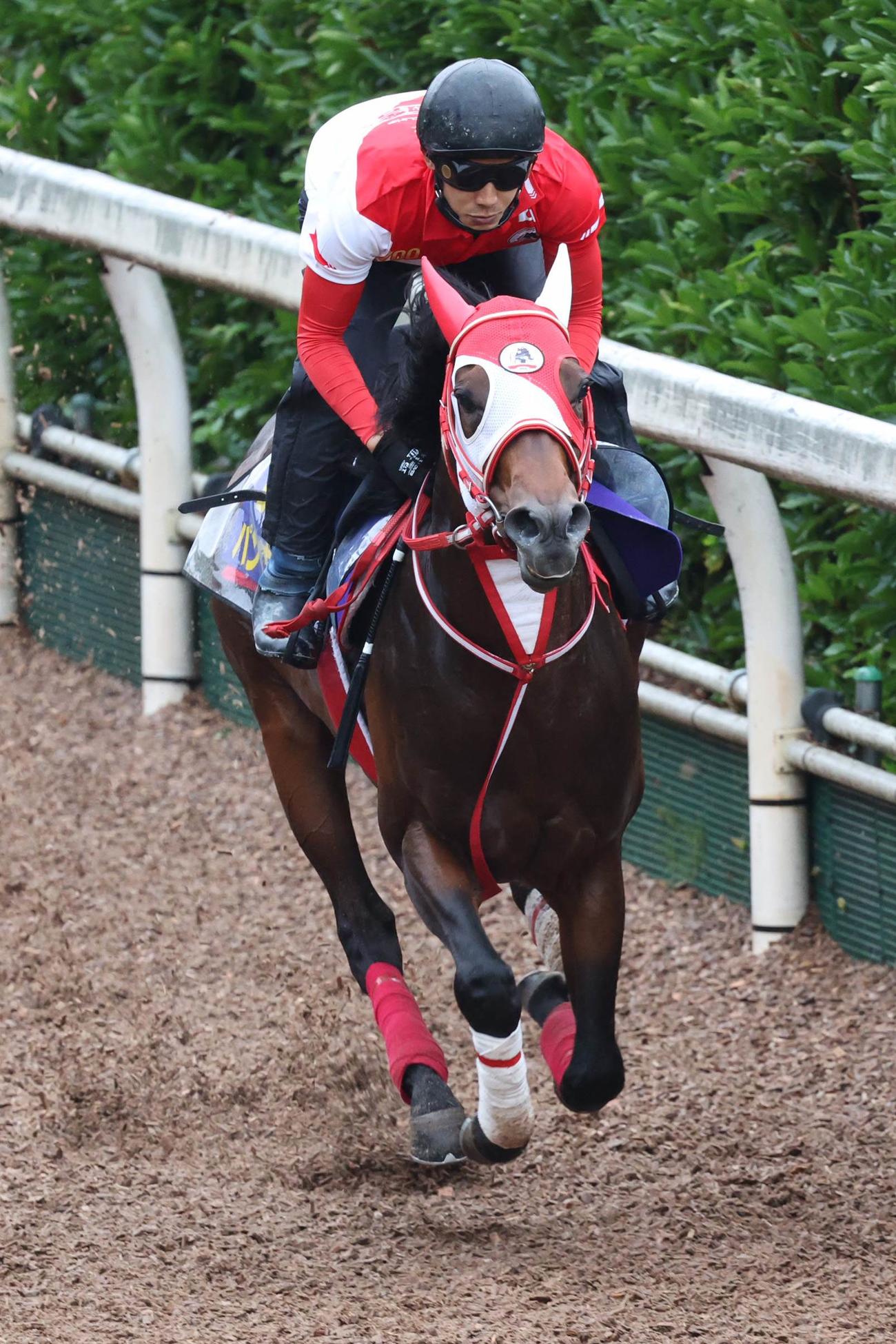 重い馬場を涼しい顔で登坂したパンサラッサ