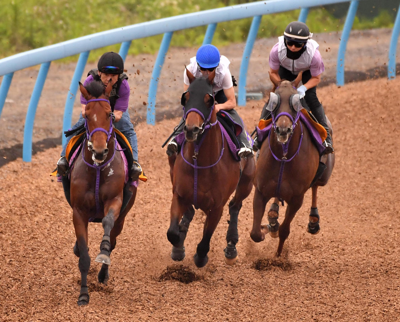 横山武騎手を背にエフフォーリア（中央）はトロワエスポワール（左）、マッチレスノヴェルと併せて追い切る（撮影・柴田隆二）
