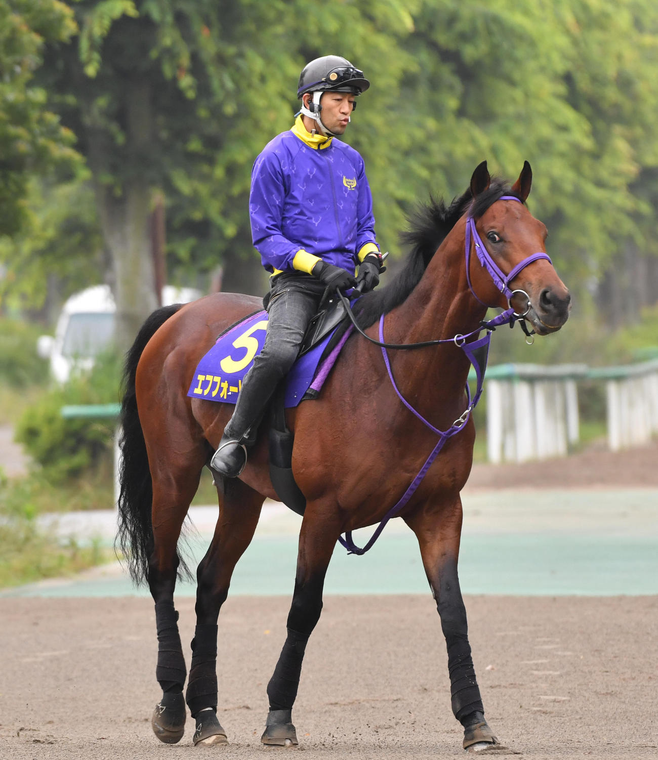馬場に向かうエフフォーリア（撮影・柴田隆二）