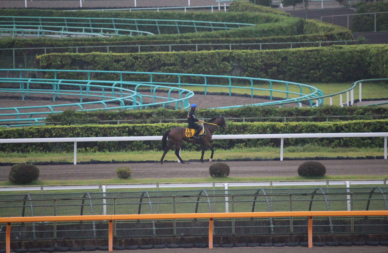 水曜朝、呼吸を合わせるマイネルヴァッサーと小野寺騎手（撮影・木南友輔）