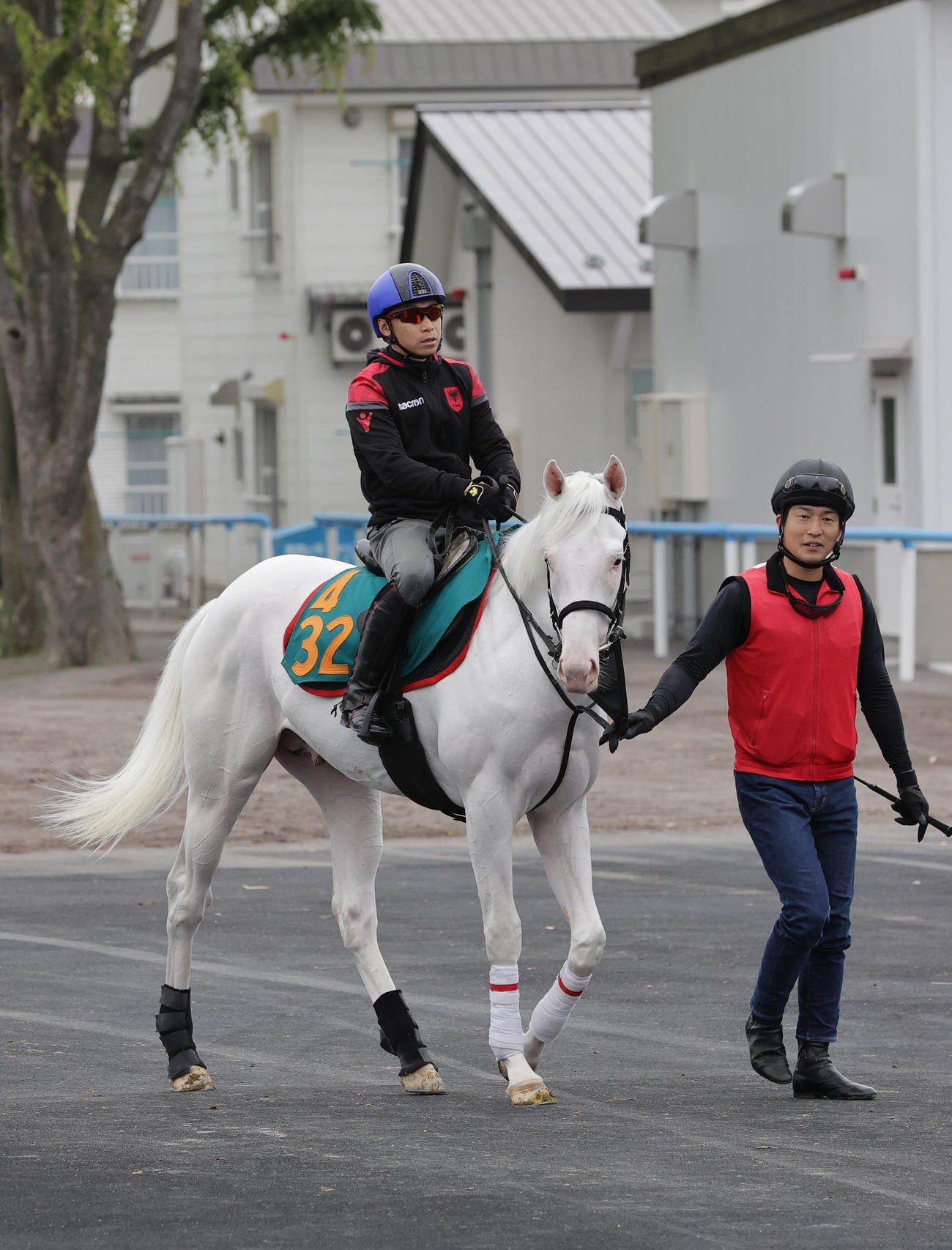 池添騎手も期待を寄せる、白毛の新馬アオラキ