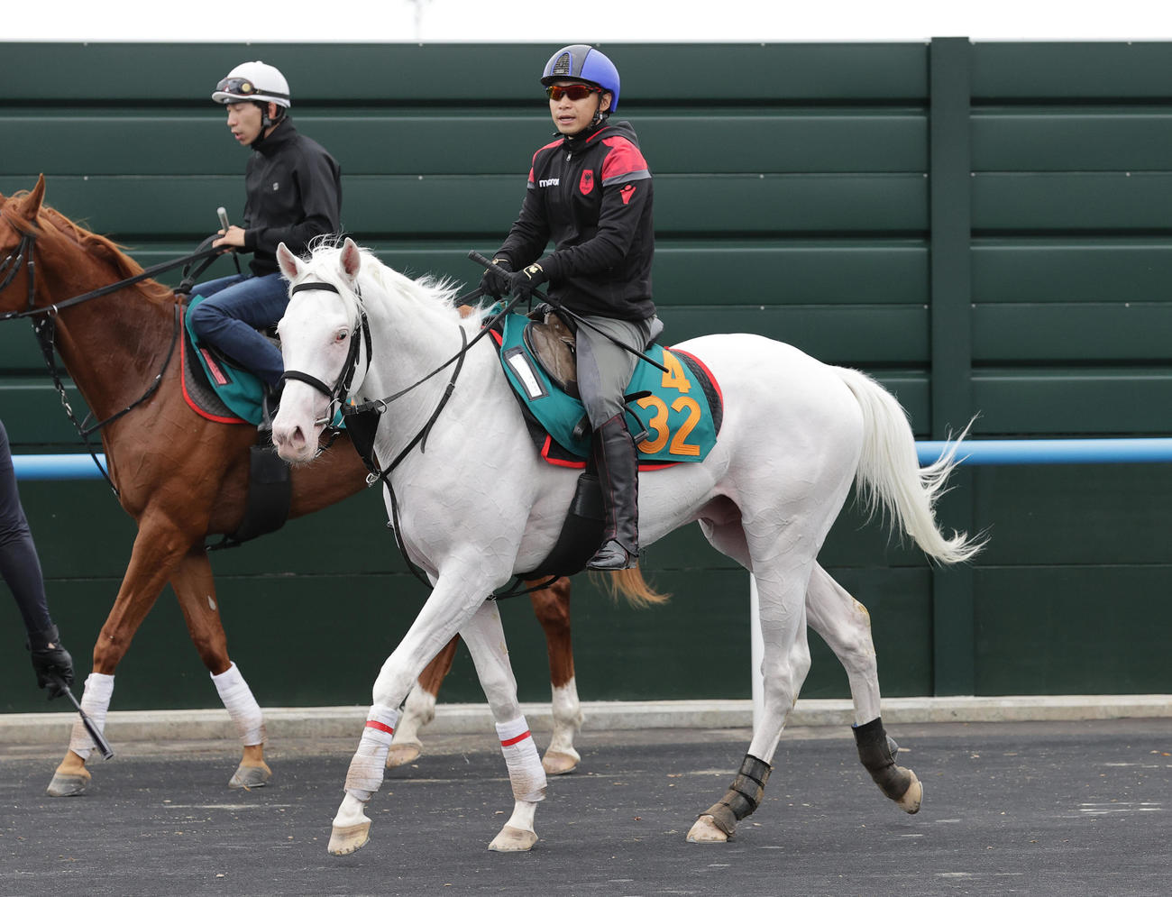白毛の新馬アオラキ