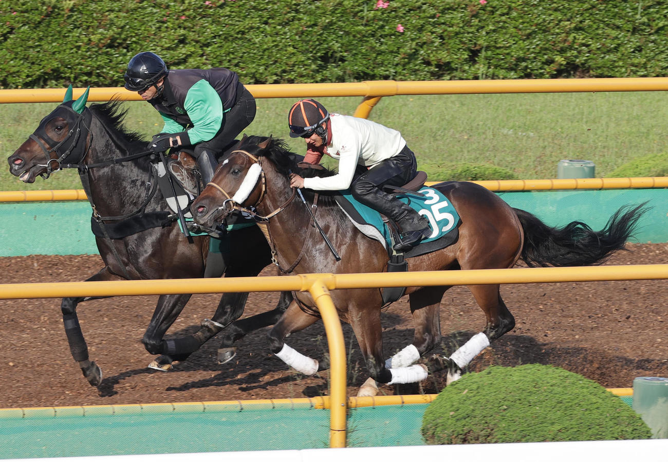 函館ウッドチップコースで併せ馬で追い切られたフルコンタクト（右）